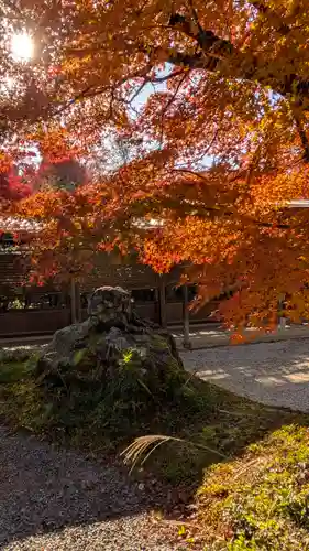常照寺(京都府)