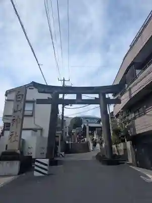 白山神社(東京都)