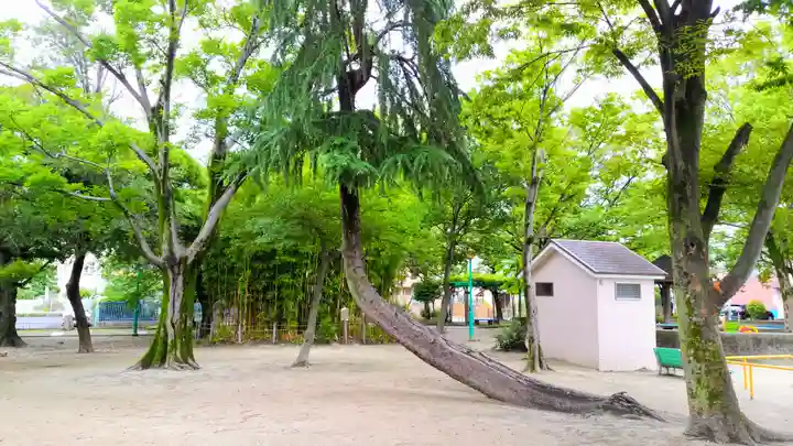 八幡社(烏森八幡社)の自然