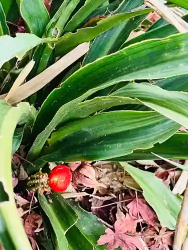 貴船神社(茨城県)