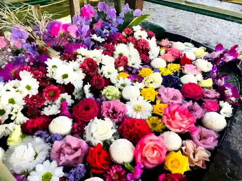 都農神社の手水舎