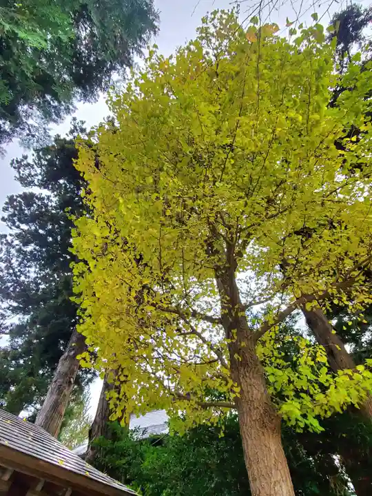 高司神社〜むすびの神の鎮まる社〜(福島県)