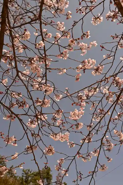 西部八幡神社(愛媛県)