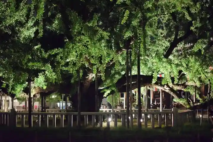 本願寺(西本願寺)(京都府)