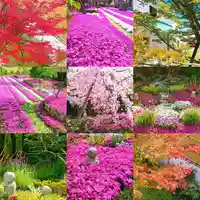 寿量山 速成寺の自然