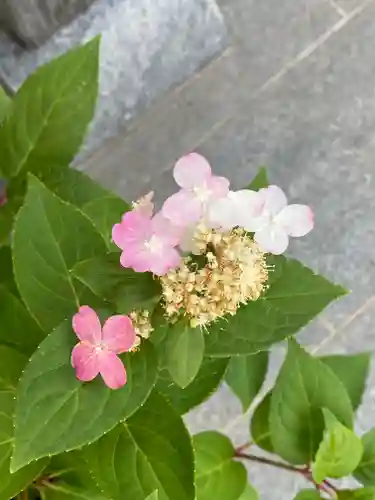妙蓮寺(神奈川県)
