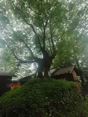 熊野皇大神社(長野県)