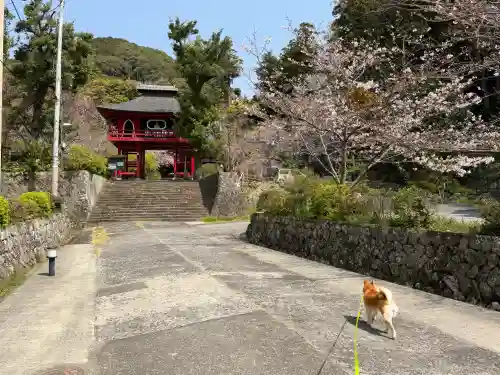 清雲寺の{uncategorized: "未分類", other: "その他", undefined: "問題あり", building: "その他建物", grave: "お墓", sacred_gate: "鳥居", guardian: "狛犬", statue: "像", buddha: "仏像", history: "歴史", nature: "自然", garden: "庭園", animal: "動物", pagoda: "塔", temizu: "手水舎", mountain_gate: "山門・神門", sanctuary: "本殿・本堂", subordinate: "末社・摂社", art: "芸術", scenery: "景色", jizo: "地蔵", ema: "絵馬", goshuin: "御朱印", omikuji: "おみくじ", items: "授与品その他", amulet: "お守り", goshuincho: "御朱印帳", eats: "食事", festival: "お祭り", votive_dance: "神楽", shichigosan: "七五三参", wedding: "結婚式", experience: "体験その他", initially: "初詣", around: "周辺", anti_infection: "感染症対策"}