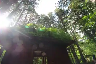 戸隠神社奥社(長野県)