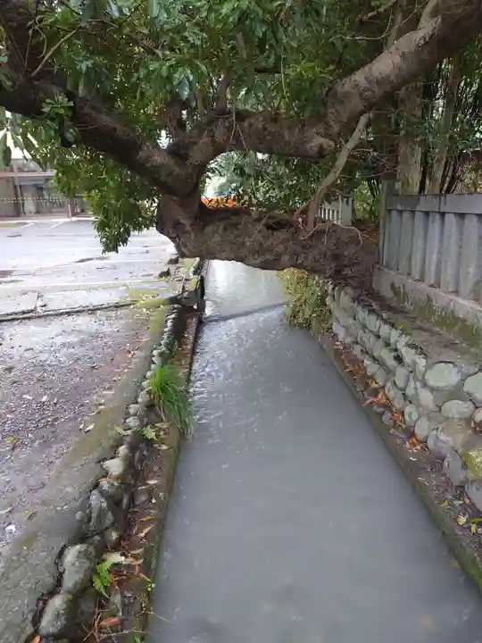 大井神社の自然