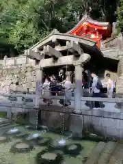 清水寺の庭園