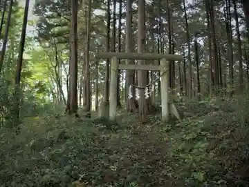 御嶽山神社の鳥居
