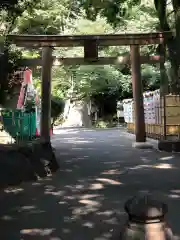 東郷神社の鳥居