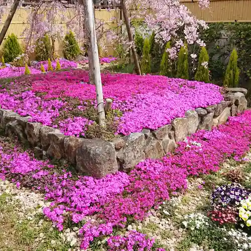 寿量山　速成寺の庭園