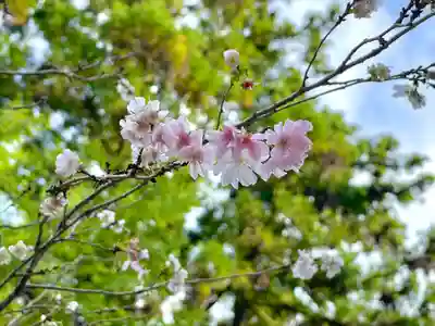 播州清水寺(兵庫県)