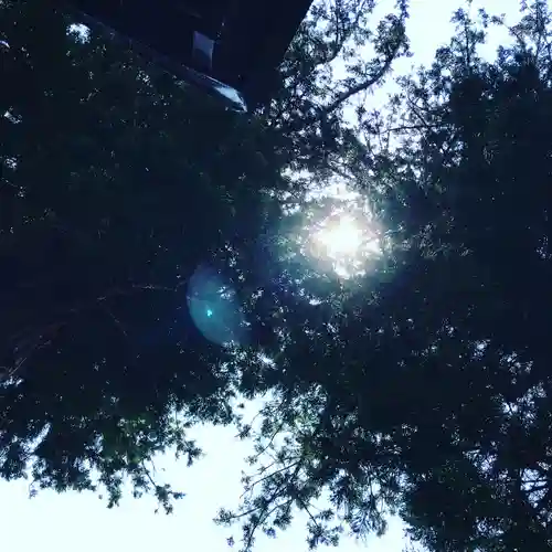 高司神社〜むすびの神の鎮まる社〜の自然