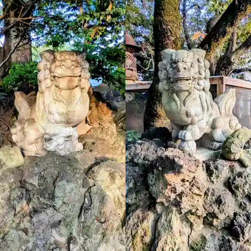 松戸神社の狛犬