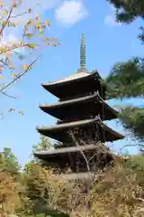 仁和寺の塔