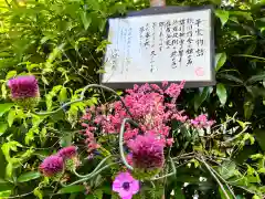 明月院(神奈川県)