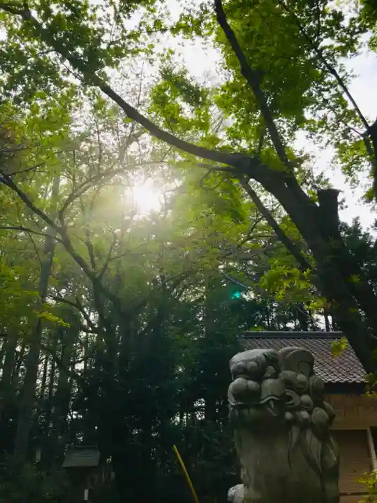 大宝八幡宮のその他建物