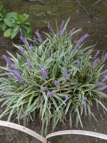 中道院(東京都)