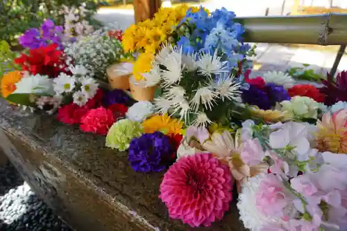 勝林寺の手水舎