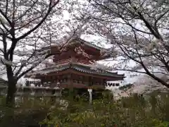 南法華寺（壷阪寺）(奈良県)