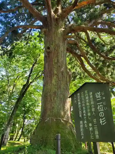 白河神社の自然