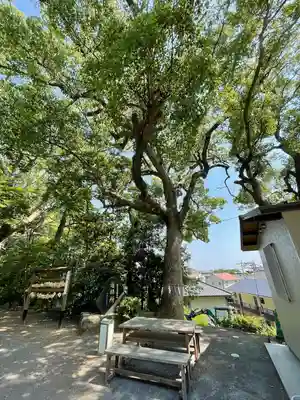 惣社宮(福岡県)