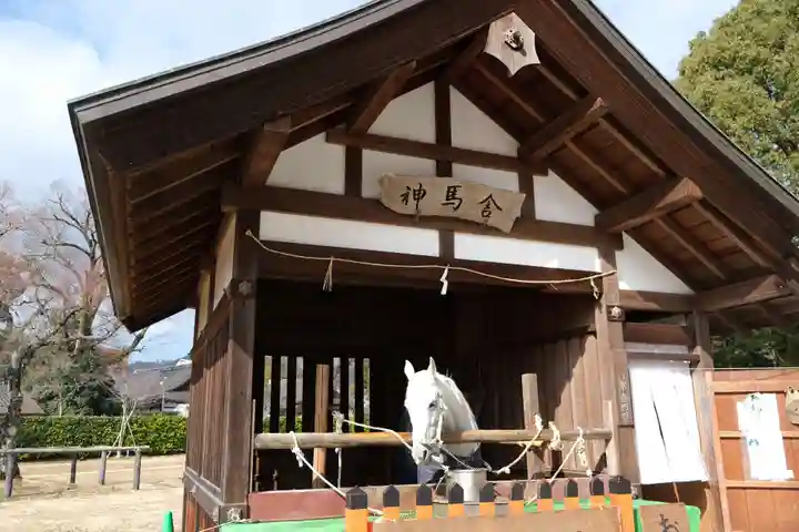 賀茂別雷神社(上賀茂神社)のその他建物