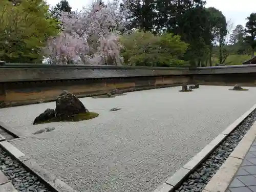 龍安寺の庭園