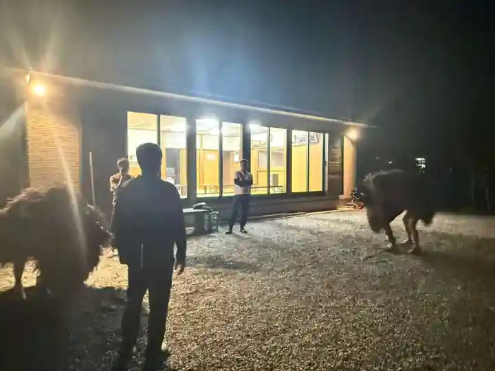 美奈宜神社(福岡県)