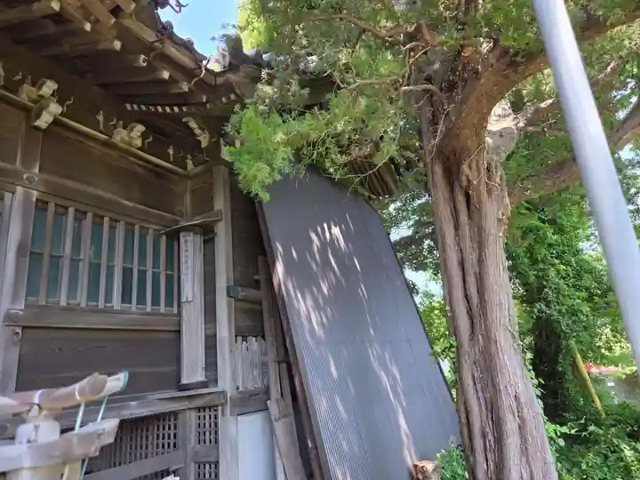 蛭子神社(神奈川県)