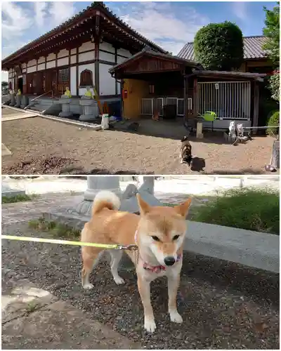 全東院の本殿