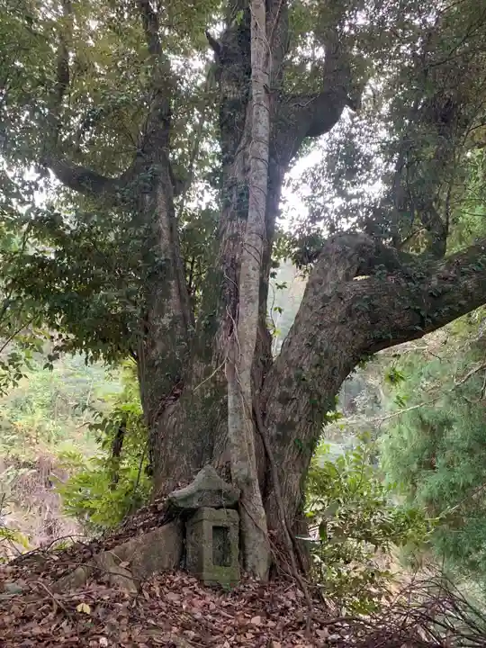 熊野神社(千葉県)