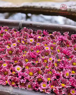 立志神社(滋賀県)