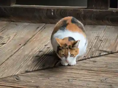 行願寺（革堂）(京都府)
