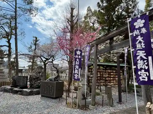 大垣八幡神社(岐阜県)
