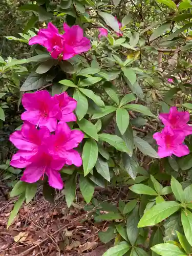 多治速比売神社の庭園