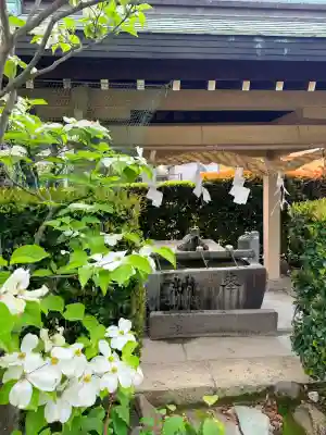 稲爪神社の{uncategorized: "未分類", other: "その他", undefined: "問題あり", building: "その他建物", grave: "お墓", sacred_gate: "鳥居", guardian: "狛犬", statue: "像", buddha: "仏像", history: "歴史", nature: "自然", garden: "庭園", animal: "動物", pagoda: "塔", temizu: "手水舎", mountain_gate: "山門・神門", sanctuary: "本殿・本堂", subordinate: "末社・摂社", art: "芸術", scenery: "景色", jizo: "地蔵", ema: "絵馬", goshuin: "御朱印", omikuji: "おみくじ", items: "授与品その他", amulet: "お守り", goshuincho: "御朱印帳", eats: "食事", festival: "お祭り", votive_dance: "神楽", shichigosan: "七五三参", wedding: "結婚式", experience: "体験その他", initially: "初詣", around: "周辺", anti_infection: "感染症対策"}