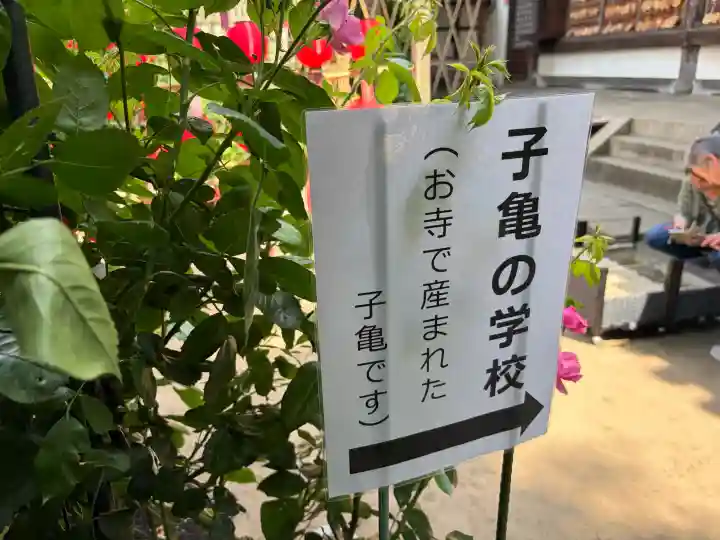 おふさ観音(観音寺)の{uncategorized: "未分類", other: "その他", undefined: "問題あり", building: "その他建物", grave: "お墓", sacred_gate: "鳥居", guardian: "狛犬", statue: "像", buddha: "仏像", history: "歴史", nature: "自然", garden: "庭園", animal: "動物", pagoda: "塔", temizu: "手水舎", mountain_gate: "山門・神門", sanctuary: "本殿・本堂", subordinate: "末社・摂社", art: "芸術", scenery: "景色", jizo: "地蔵", ema: "絵馬", goshuin: "御朱印", omikuji: "おみくじ", items: "授与品その他", amulet: "お守り", goshuincho: "御朱印帳", eats: "食事", festival: "お祭り", votive_dance: "神楽", shichigosan: "七五三参", wedding: "結婚式", experience: "体験その他", initially: "初詣", around: "周辺", anti_infection: "感染症対策"}