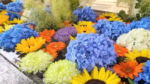 金蛇水神社(宮城県)