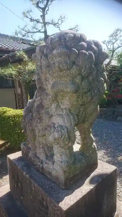 熊野社(萩原町花井方)の狛犬