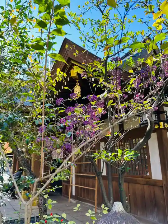 愛宕神社の自然