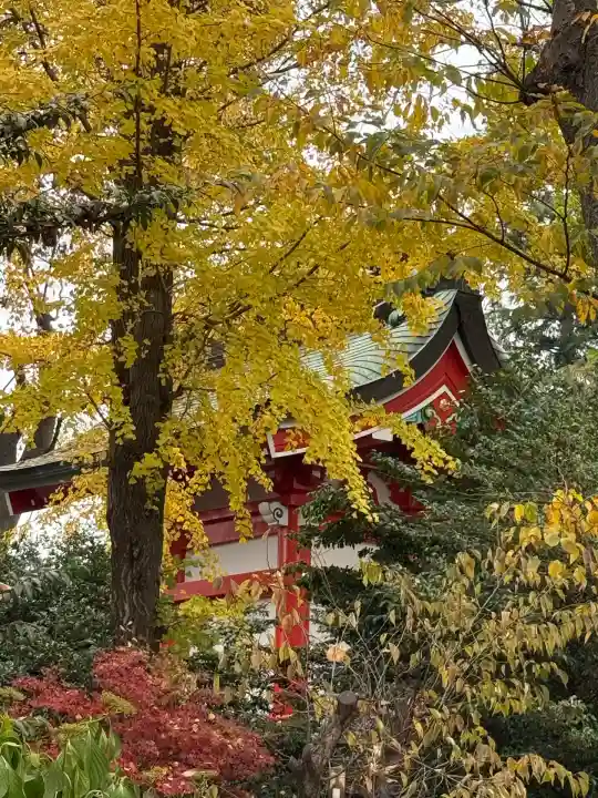 川越八幡宮(埼玉県)