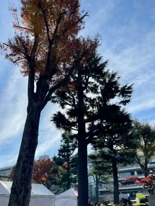 東京競馬場馬頭観音(東京都)