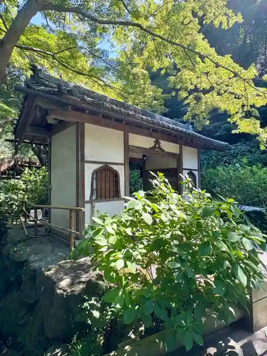 明月院(神奈川県)