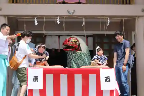 釧路一之宮 厳島神社のお祭り