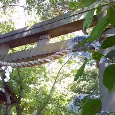 越谷香取神社の鳥居