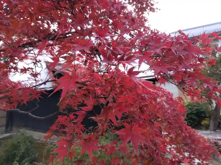 妙覺寺(妙覚寺)(京都府)